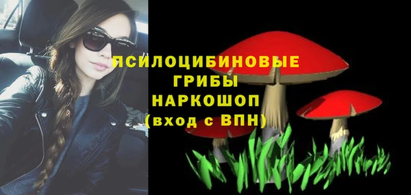 спиды Абаза