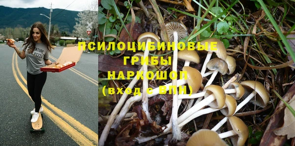 спиды Абаза