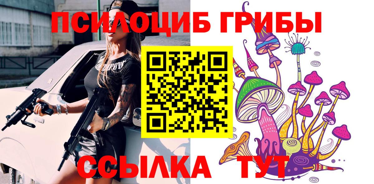 Псилоцибиновые грибы MAGIC MUSHROOMS  Вход с VPN  Богородицк 