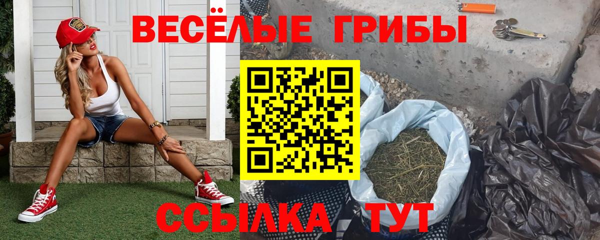 COCAIN Богородицк