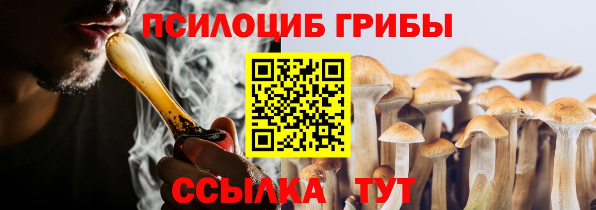 Псилоцибиновые грибы Psilocybe Богородицк